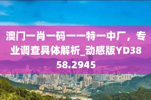 澳門一肖一碼一一特一中廠，專業(yè)調(diào)查具體解析_動感版YD3858.2945