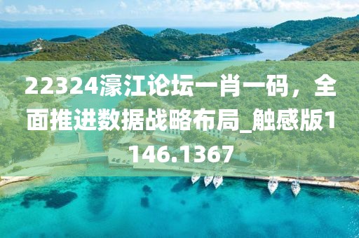 22324濠江論壇一肖一碼，全面推進數(shù)據(jù)戰(zhàn)略布局_觸感版1146.1367