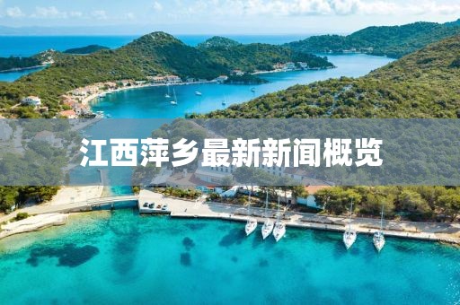 江西萍鄉(xiāng)最新新聞概覽