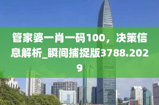 管家婆一肖一碼100，決策信息解析_瞬間捕捉版3788.2029