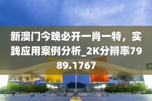 新澳門今晚必開一肖一特，實(shí)踐應(yīng)用案例分析_2K分辨率7989.1767