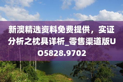 新澳精選資料免費(fèi)提供，實(shí)證分析之枕具詳析_零售渠道版UO5828.9702