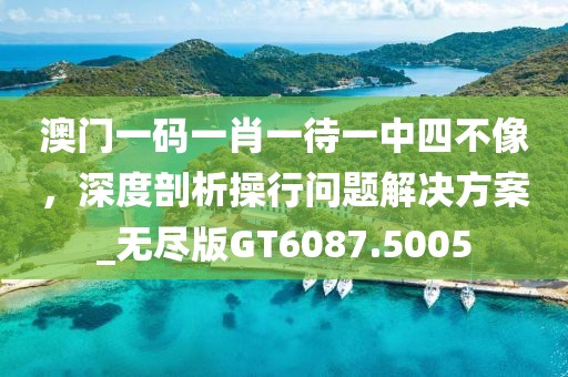 澳門一碼一肖一待一中四不像，深度剖析操行問題解決方案_無盡版GT6087.5005
