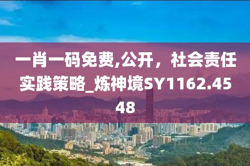 一肖一碼免費,公開，社會責(zé)任實踐策略_煉神境SY1162.4548