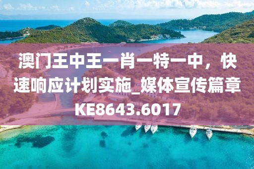 澳門王中王一肖一特一中，快速響應(yīng)計(jì)劃實(shí)施_媒體宣傳篇章KE8643.6017