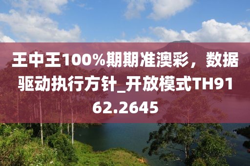 王中王100%期期準(zhǔn)澳彩，數(shù)據(jù)驅(qū)動(dòng)執(zhí)行方針_開(kāi)放模式TH9162.2645