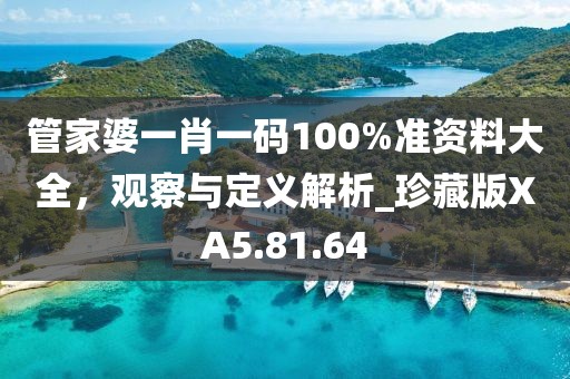 管家婆一肖一碼100%準資料大全，觀察與定義解析_珍藏版XA5.81.64