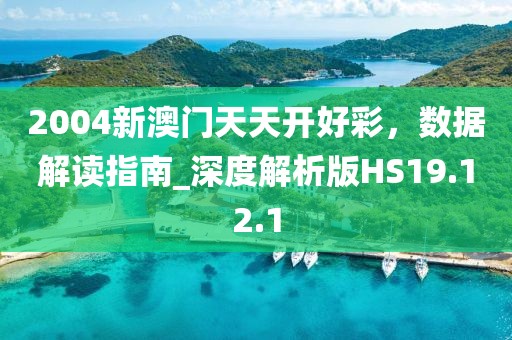 2004新澳門天天開好彩，數(shù)據(jù)解讀指南_深度解析版HS19.12.1