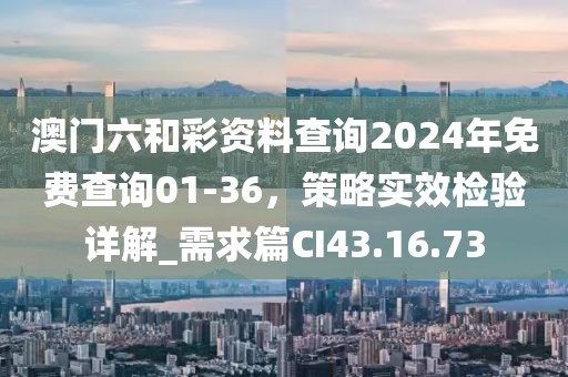 澳門六和彩資料查詢2024年免費(fèi)查詢01-36，策略實(shí)效檢驗(yàn)詳解_需求篇CI43.16.73