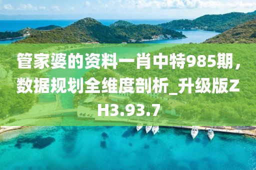 管家婆的資料一肖中特985期，數(shù)據(jù)規(guī)劃全維度剖析_升級(jí)版ZH3.93.7