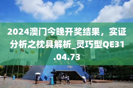 2024澳門今晚開獎結(jié)果，實(shí)證分析之枕具解析_靈巧型QE31.04.73