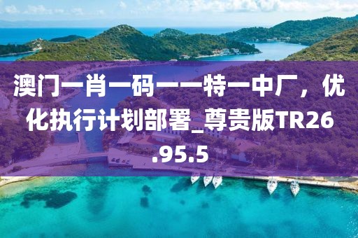 澳門一肖一碼一一特一中廠，優(yōu)化執(zhí)行計劃部署_尊貴版TR26.95.5