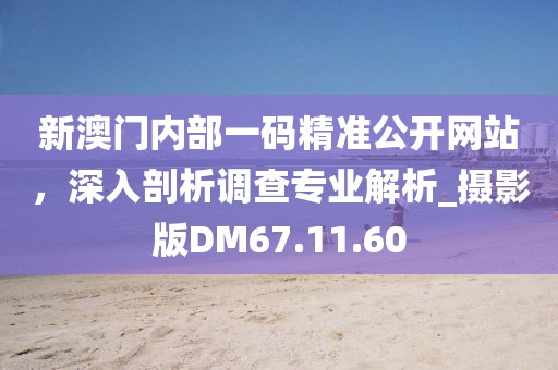 新澳門內(nèi)部一碼精準(zhǔn)公開網(wǎng)站，深入剖析調(diào)查專業(yè)解析_攝影版DM67.11.60