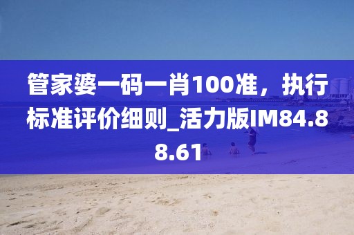 管家婆一碼一肖100準，執(zhí)行標準評價細則_活力版IM84.88.61