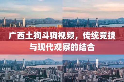 廣西土狗斗狗視頻，傳統(tǒng)競(jìng)技與現(xiàn)代觀察的結(jié)合