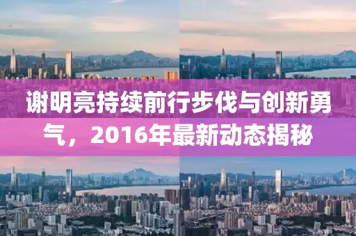 謝明亮持續(xù)前行步伐與創(chuàng)新勇氣，2016年最新動(dòng)態(tài)揭秘