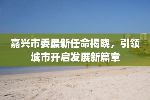 嘉興市委最新任命揭曉，引領(lǐng)城市開啟發(fā)展新篇章