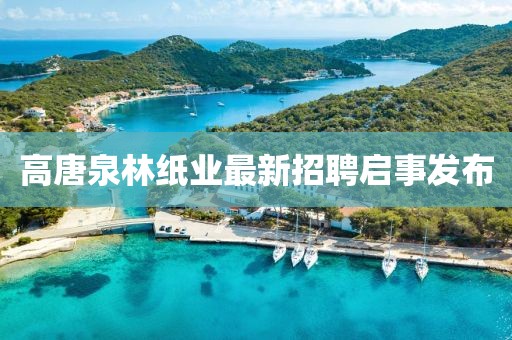 高唐泉林紙業(yè)最新招聘啟事發(fā)布