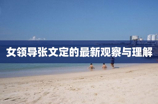 女領(lǐng)導(dǎo)張文定的最新觀察與理解