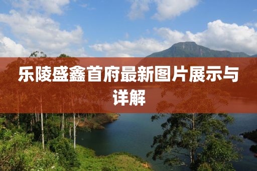樂陵盛鑫首府最新圖片展示與詳解