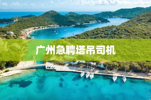 廣州急聘塔吊司機