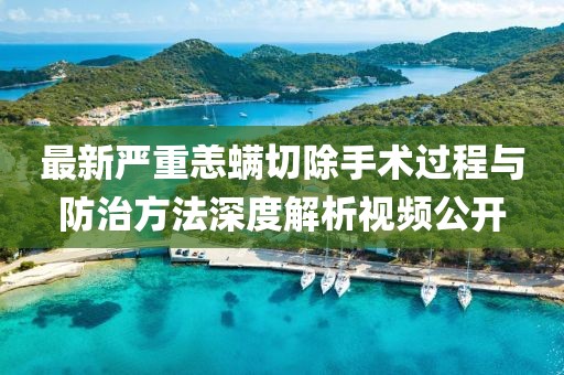 最新嚴(yán)重恙螨切除手術(shù)過程與防治方法深度解析視頻公開