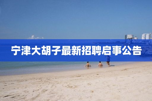 命與夢(mèng) 第29頁
