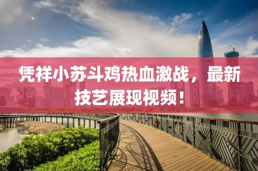 憑祥小蘇斗雞熱血激戰(zhàn)，最新技藝展現(xiàn)視頻！