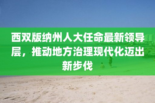 西雙版納州人大任命最新領(lǐng)導(dǎo)層，推動(dòng)地方治理現(xiàn)代化邁出新步伐