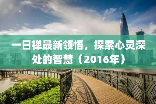 一日禪最新領(lǐng)悟，探索心靈深處的智慧（2016年）