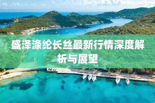 盛澤滌綸長絲最新行情深度解析與展望