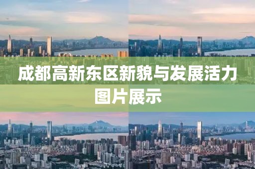 成都高新東區(qū)新貌與發(fā)展活力圖片展示