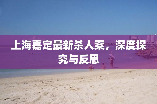 上海嘉定最新殺人案，深度探究與反思