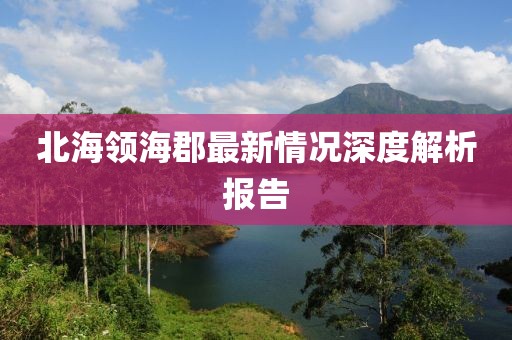 北海領?？ぷ钚虑闆r深度解析報告