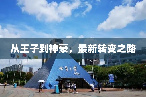 從王子到神豪，最新轉(zhuǎn)變之路