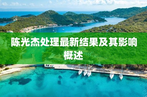 陳光杰處理最新結(jié)果及其影響概述