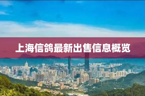 上海信鴿最新出售信息概覽