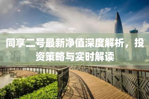 同享二號(hào)最新凈值深度解析，投資策略與實(shí)時(shí)解讀