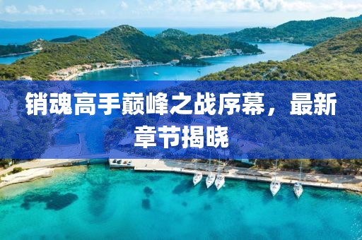 銷魂高手巔峰之戰(zhàn)序幕，最新章節(jié)揭曉
