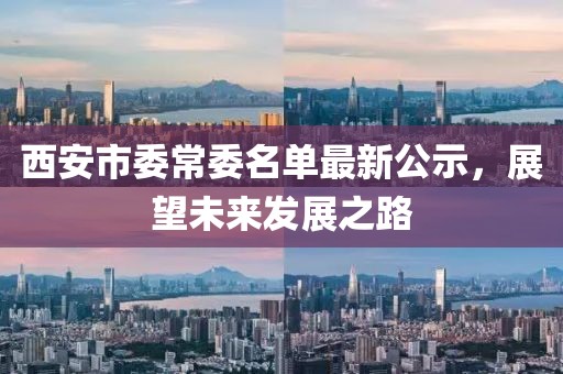 西安市委常委名單最新公示，展望未來發(fā)展之路