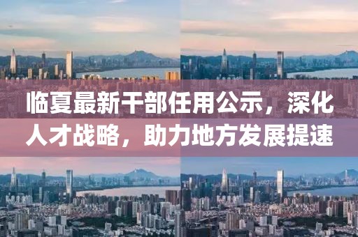 臨夏最新干部任用公示，深化人才戰(zhàn)略，助力地方發(fā)展提速