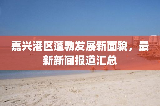 嘉興港區(qū)蓬勃發(fā)展新面貌，最新新聞報道匯總