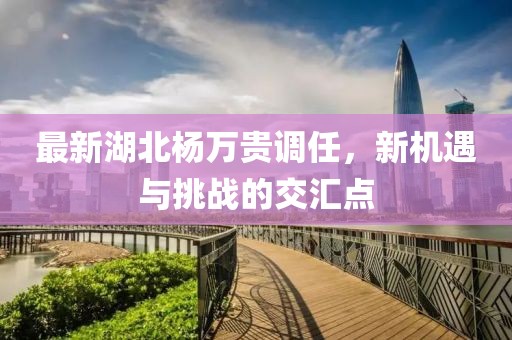 最新湖北楊萬貴調任，新機遇與挑戰(zhàn)的交匯點