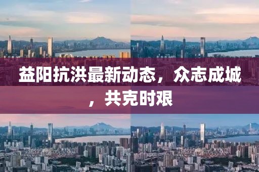 益陽抗洪最新動態(tài)，眾志成城，共克時艱