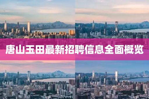 唐山玉田最新招聘信息全面概覽
