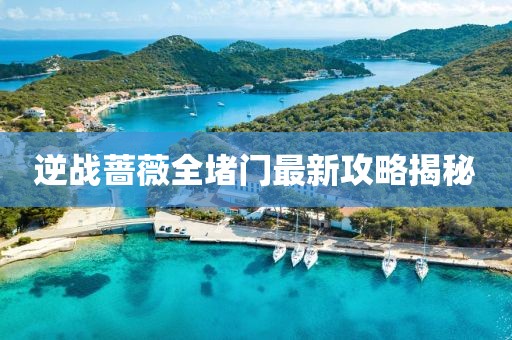 逆戰(zhàn)薔薇全堵門最新攻略揭秘