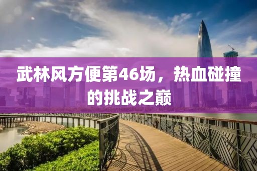 武林風方便第46場，熱血碰撞的挑戰(zhàn)之巔