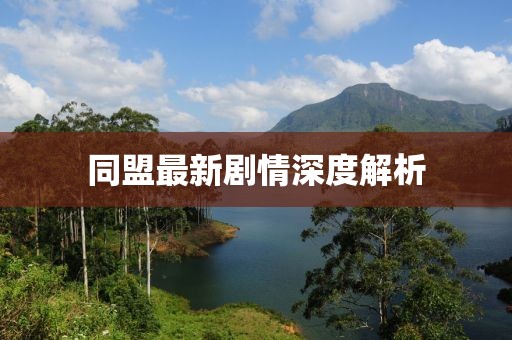 同盟最新劇情深度解析