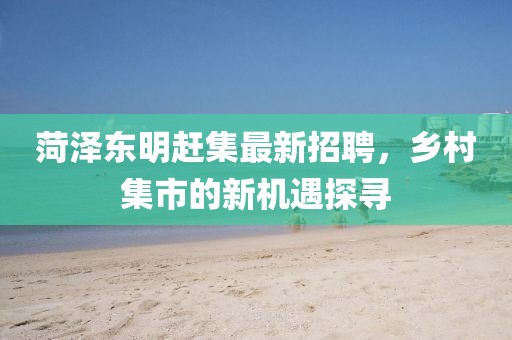 菏澤東明趕集最新招聘，鄉(xiāng)村集市的新機(jī)遇探尋
