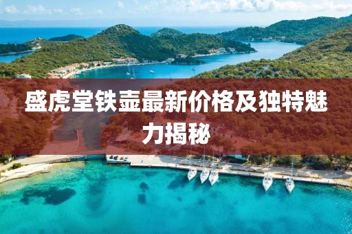 盛虎堂鐵壺最新價格及獨(dú)特魅力揭秘